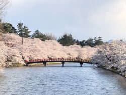 かわさき住宅スタッフ