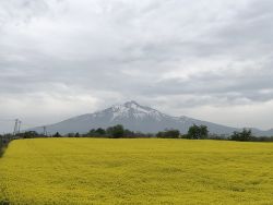 かわさき住宅スタッフ