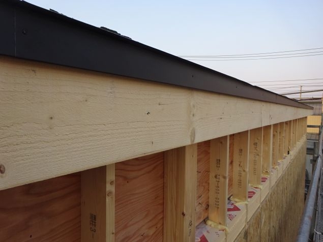 ao44.jpg