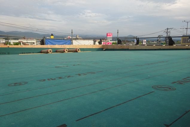 nara96.jpg